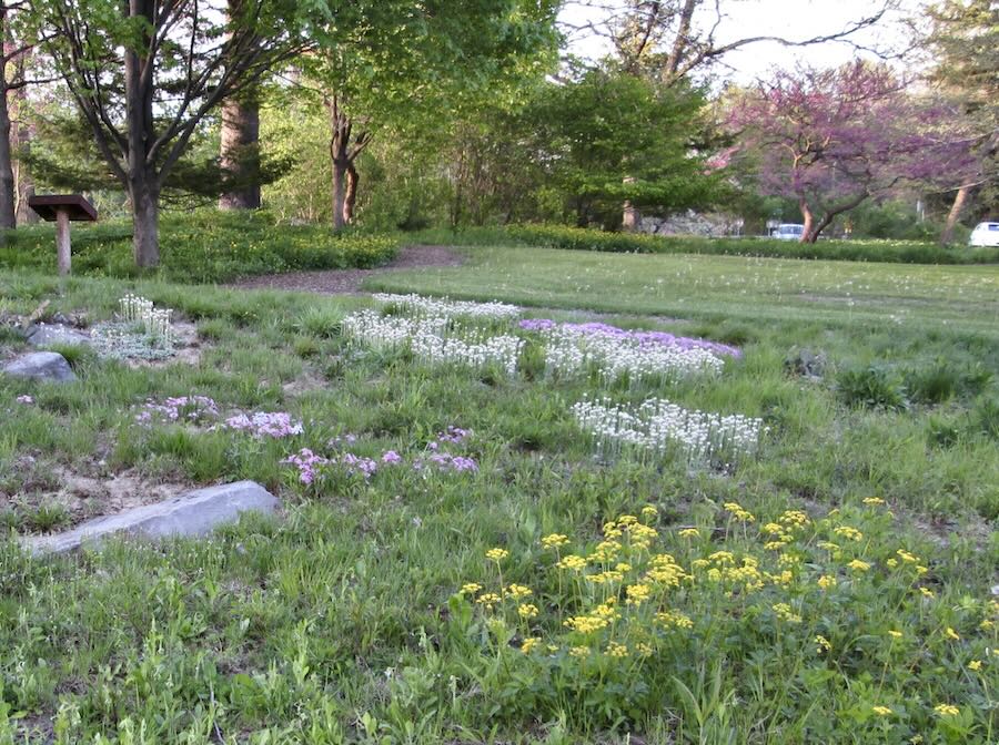 cornell’s tackle the native garden, with todd bittner