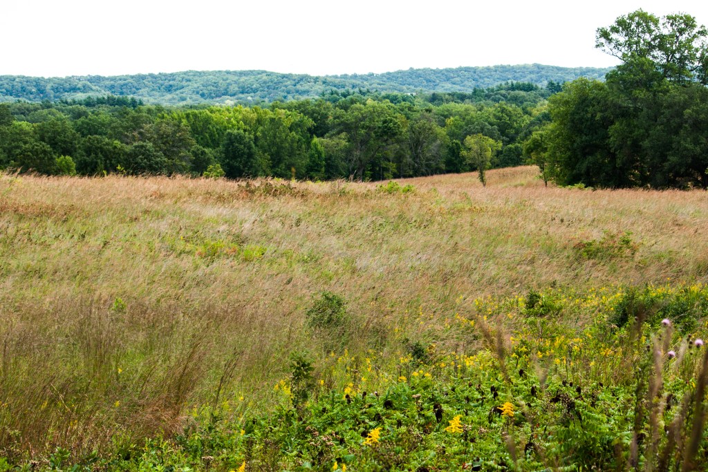 The Prairie: The First Panorama of Fall